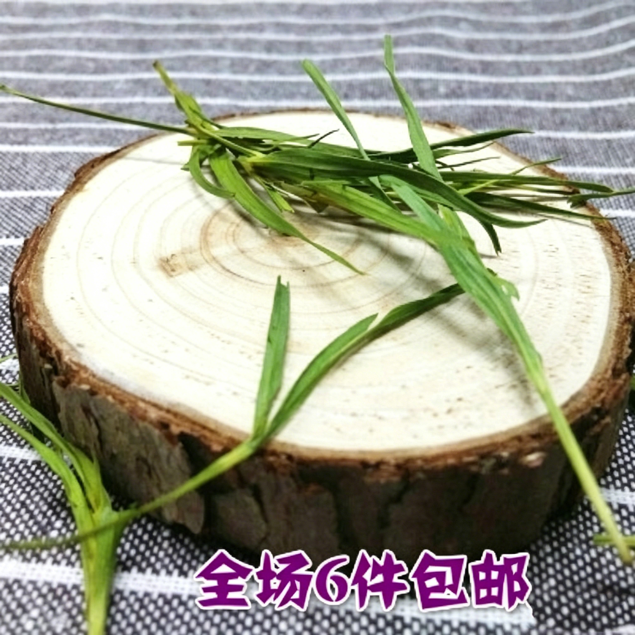 批发崂山石竹茶 竹叶青茶 小竹叶茶 淡竹叶 特价散装花草茶防辐射